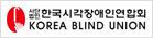 한국시각장애인연합회