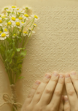 시각장애인의 이해