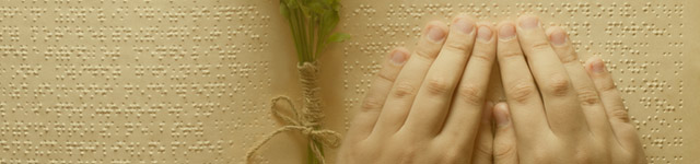 시각장애인의 이해